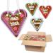 10 pieces of gingerbread hearts with different sayings in the mixing box - 14cm - gingerbread heart souvenir and decoration for birthday party - borrow heart buy cheap gingerbread world