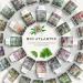 Ginkgo biloba Organic - 120 tablets of 300 mg - Buy Online on GoSupps.com