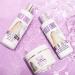 BOLD UNIQ Purple Conditioner for Blonde, Platinum, Gray/Silver Hair - Reduce Brassy Tones, Moisturizing Toner for Bleached Hair - Cruelty-Free, No Parabens/Sulfates - 237ml - Buy Online on GoSupps.com