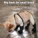 Waterproof Dog Boots Small Breed Adjustable Dogs Shoes Dog Boots with Suspenders Paw Protector Dog Booties Dog Rain Boot for Outside Running Playing Dirty-Proof - Buy Online on GoSupps.com