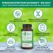 Buy Bio Kelp Iodine 365 Vegan Tablets - 150 g Natural Iodine from Organic Brown Algae - Laboratory Tested in Germany - Sea Kelp Annual Supply No Additives - Buy Online on GoSupps.com