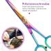 Premium Candure Hairdressing Scissors - Professional 6.5 Hair Cutting Scissors for Men Women & Adults | Extra Sharp Rainbow Design - Buy Online on GoSupps.com