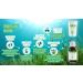 Norsan Premium Omega 3 Vegan Capsules - 80 Pieces 1700mg Daily Dose 420mg EPA & 840mg DHA Algae Oil from Sustainable Cultivation - Buy Online on GoSupps.com