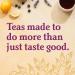 Yogi Tea - Chai Rooibos Tea (3 Pack) - Spicy Ayurvedic Blend of Rooibos Cardamom Cinnamon Clove and Ginger - Caffeine Free Organic Herbal Tea - 48 Tea Bags - Buy Online on GoSupps.com