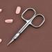 JARVISTAR Extra Fine Small Nail Scissors - Stainless Steel Cuticle Manicure Pedicure Grooming Tool for Women - Fingernail, Toenail, Eyelash, Eyebrow, Dry Skin - Curved Blade 3.66 Inch - Buy Online on GoSupps.com