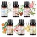 Essential Oil Set 6x10ML - 100% Pure Organic Plant Oil for Diffuser Massage Aroma Spa Yoga Perfume - Rose Jasmine Sandalwood Vanilla Neroli Peach SET-A 0.06 Fl Oz (Pack of 6)