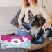 INODORINA Dog Hygiene Additional Towels - Floral Tiare Scented Perfect for International Shipping - Buy Online on GoSupps.com