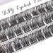 D.I.Y. Volume Individual Lash Clusters - D Curl Fluffy Lashes with Clear Band - Cluster Lashes-FD02(12-16mm) - Buy Online on GoSupps.com