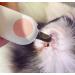 Small Animals Nail Clippers with LED Lights to Avoid Excessive Cutting and Razor Sharp Blades - Professional Claw Trimmer for Tiny Dog Cat Kitten Bunny Rabbit Bird Guinea Pigs Ferret Hamsters (Blue) - Buy Online on GoSupps.com