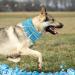 Cooling Collar for Dogs | Summer Dog Bandanas & Neckerchiefs | S/M/L Sizes Available - Buy Online on GoSupps.com