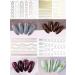 EBANKU 12 Sheets Metallic Nail Stickers - Self-Adhesive 3D Wave Design for DIY Nail Decoration - Buy Online on GoSupps.com