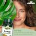 Shop Natures Aid Kelp Premium Quality Seaweed Supplement - Buy Online on GoSupps.com