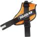 Buy IDC Powerharness 3XL/4 - Copper Orange | International Shipping Available - Buy Online on GoSupps.com