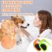 Premium PET Knotting Comb - De-Knot Tool for Cats & Dogs | Remove Matted Hair Effortlessly - Orange/Green - Buy Online on GoSupps.com