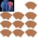 Pain Relief Patches - 80pcs Tiger Soreness Relief for Neck & Back, Muscles, Stiffness - Plasters for Muscle Pain - Buy Online on GoSupps.com