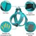 UVTQSSP Light Blue Dog Harness for Small Dogs | Padded Puppy Harness with Leash - Comfortable & Secure Fit - Buy Online on GoSupps.com