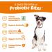 Zesty Paws Probiotic Soft Chews for Dogs - Gut Health, Digestive Support & Immune Boost - Buy Online on GoSupps.com