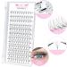 Pre Made 5D-C-0.07-8-15 Pointy Base Fan Eyelash Extensions - Russian Volume Lashes, C D Curl, 0.05 0.07 0.10 Premade Fans - Buy Online on GoSupps.com
