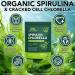 bnHUlMXw Organic Spirulina Chlorella Capsules 17-in-1 Supergeens Blend Rich in Vegan Protein & Chlorophyll Immune Support Non-GMO and Gluten Free Supplement 300 Softgels - Buy Online on GoSupps.com