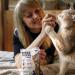 Gimcat Nutri Pockets Sea Mix - Crispy Cat Snacks with Creamy Filling & Functional Ingredients - 150g Pack - International Shipping Available - Buy Online on GoSupps.com