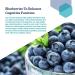 Life Extension Cognitex Elite Pregnenolone - 60 Vegetarian Tablets for Brain Health - Buy Online on GoSupps.com