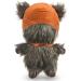 Shop Star Wars Ewok Plush Rope Frisbee Dog Toy | Official Squeaky Plush Toy for All Dogs - Buy Online on GoSupps.com
