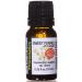 TVaromatics Sweet Fennel of Hungary 100% Pure Essential Oil 1/3 fl oz (10 mL) - Foeniculum vulgare var. dulce Sweet Fennel 0.33 Fl Oz (Pack of 1)