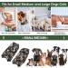 Cobee Dog Recovery Suit - Abdominal Wound Protection for Male Dogs | Post-Operative Snug Fit | L-Size Camouflage - Buy Online on GoSupps.com