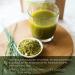 Organic Gerstengrass Powder 900g - Vegan Barley Grass from Bavaria | Bio Quality Lab Tested International Shipping - Buy Online on GoSupps.com