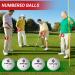 SAPLIZE Distance Golf Balls 12 Pack - Two Layer Golf Balls for Greater Speed and Distance Off The Tee - Buy Online on GoSupps.com