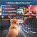 5-in-1 Dog Car Seat Cover for Back Seat | Waterproof & Scratchproof Car Hammock for Dogs | Nonslip & Mesh Window Car Pet Seat Protector with Belt | Fits Cars, Trucks, SUVs | Black 53x59 - Buy Online on GoSupps.com