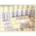 10 TWIN GIRL Lip Balm Baby Shower Party Favors