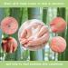 Medium Bamboo Eczema Gloves for Women - 3 Pairs | Overnight Moisturizing for Dry Hands - Buy Online on GoSupps.com