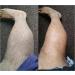 G16 Skin Repair Lotion: Effective Ichthyosis Treatment Cream for Outstanding Results in 2 Weeks - Buy Online on GoSupps.com