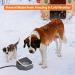 Toozey Heated Dog Bowl - Adjustable Temperature Water Bowl with Timer - Outdoor Pet Bowl with Chew Resistant Cord - 85OZ Winter Dish for Cats, Dogs, Chickens, Squirrels - Grey - Buy Online on GoSupps.com
