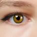 Charmiga contact lenses colored green |Green annual lenses without strength |2 pieces of soft color lenses + containers tweezers inserting help |Strongly opaque |City Green 0.00 Dioptria 2 pieces (1 Pack)