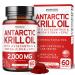 Antarctic Krill Oil Supplement (2000mg Per Serving 60 Softgels) Krill Oil Omega 3 Supplements with EPA DHA & Astaxanthin - Premium Phospholipid for Adults - Third Party Tested Non-GMO & USA Made