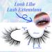 TNFVLONEINS 02M-Short 14 Pairs Natural Wispy Mink False Eyelashes - Short Cat Eye Extension for Natural Manga Strip Look - Buy Online on GoSupps.com