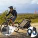 Universal Bicycle Trailer Coupling NICEDACK Dog & Childrens Bike Trailer Adapter Optimized for Easy Attachment & Compatibility - Buy Online on GoSupps.com
