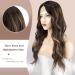 Shop Fine Long Wavy Brown & Blonde Lace Front Wig for Women - 65 cm Natural Synthetic Hair Waves - Buy Online on GoSupps.com