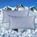 HOMFINE Cooling Pillow Cover Set (2) - 40x80 Kuhlmatte for Night Sweats Soft Side Sleeper Cushion Double-Sided ARC Chill Fiber Perfect for Summer - Blue - Buy Online on GoSupps.com