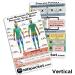 Pediatric Burn Resuscitation Kit - Rapid ID Vertical Pack - Buy Online on GoSupps.com