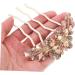 DRESSOOS Hair Comb Rhinestone Clips Rhinestone Hair Pin Hair Side Comb Rhinestone Hair Clips Hair Accessories for Women Bride Hair Accessories Tiara Decorate Bow Tie Mother Metal - Buy Online on GoSupps.com