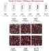 Buy Beadsland 7200PCs Flatback Rhinestones - Clear Nail Gemstones & Wax Pencil Kit | Perfect for Handicrafts & DIY Projects - Buy Online on GoSupps.com