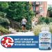 Arteries & Veins Health Support Supplement with L-Arginine & Ginger Root - Promotes Healthy Blood Circulation & Heart Health - 90 Capsules - Buy Online on GoSupps.com