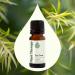 Plant Therapy Tea Tree Essential Oil 100% Pure Undiluted Natural Aromatherapy Therapeutic Grade 10 mL (1/3 oz) - Buy Online on GoSupps.com