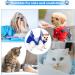 10-in-1 Cat/Dog Grooming Hammock and Sling | Nail Clipping and Restraint Harness for X-Small Pets - Buy Online on GoSupps.com