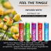 Xero Picks Energy Infused Toothpicks with Caffeine, B12, and B6 - Variety Pack (100 Picks) - Buy Online on GoSupps.com