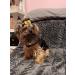 JpGdn 24Pcs/12Pairs Dog Hair Bows with Rubber Band Autumn Sunflower Pattern for Girls Female Cat Rabbit Puppy Poodle Top Knot Elastic Hair Bowknot Grooming Accessories Attachment Sunflower Autumn 24 - Buy Online on GoSupps.com