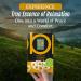 Chamomile Tea Bags Certified Organic | 30g BteaCo Relaxing Soothing Tea - Buy Online on GoSupps.com
